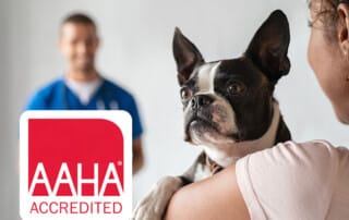 AAHA Accredited