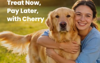 Pay later with Cherry Financing
