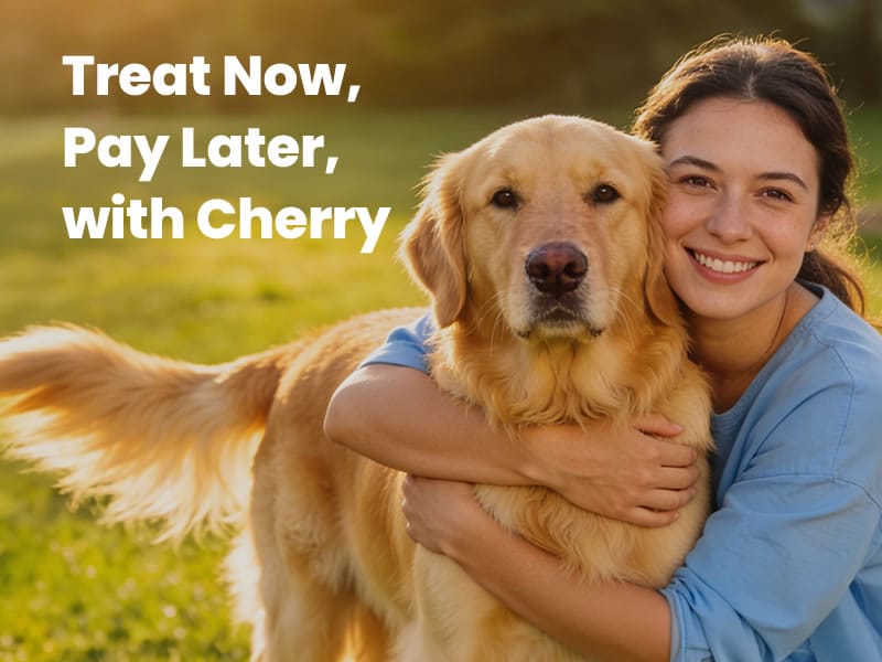 Pay later with Cherry Financing