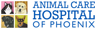 Animal Care Hospital Phoenix