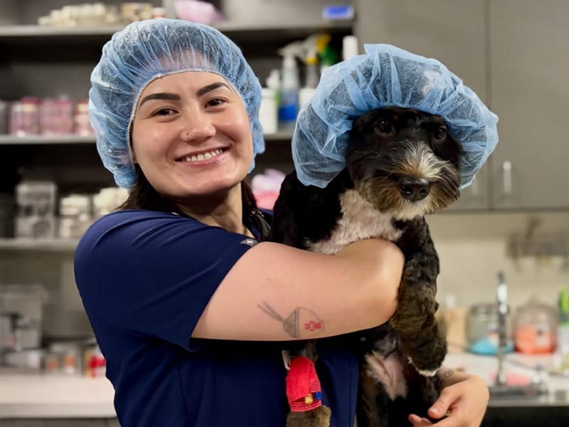Dr. Jeri, Veterinarian in Phoenix